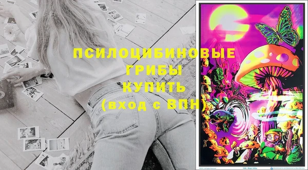 амф Вяземский