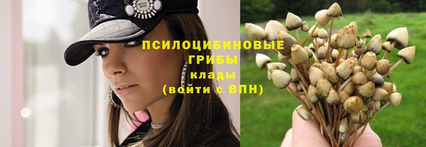 герыч Вязьма