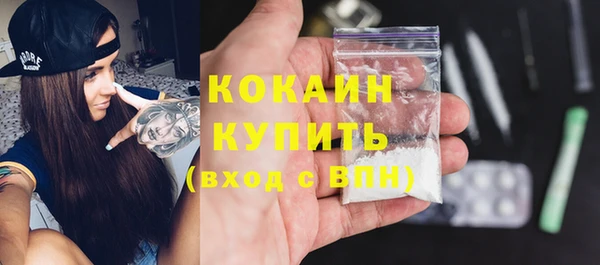 амф Вяземский