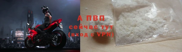 гидра Володарск