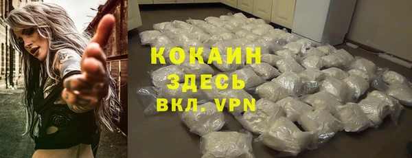 амф Вяземский