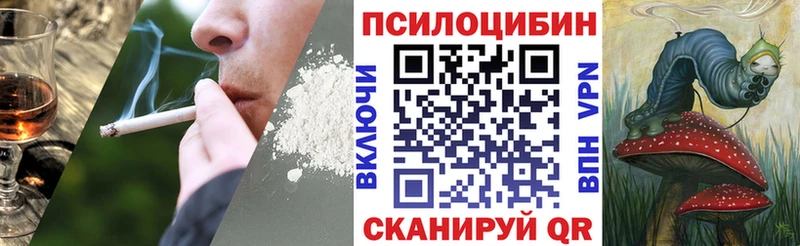 Псилоцибиновые грибы Magic Shrooms  Звенигово 